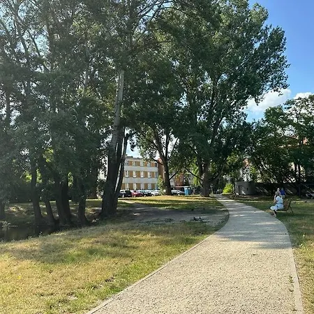 Dolna 17 - Mokotow *