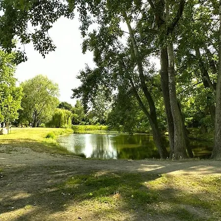 Dolna 17 - Mokotow Apartamento *